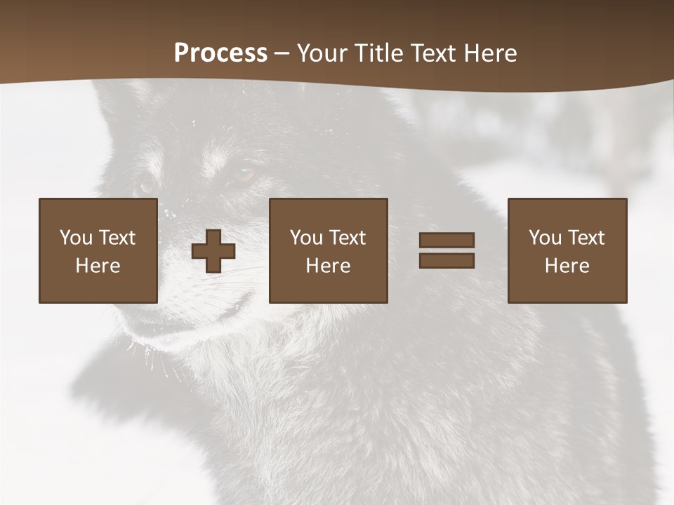 Cold Mammal Head PowerPoint Template