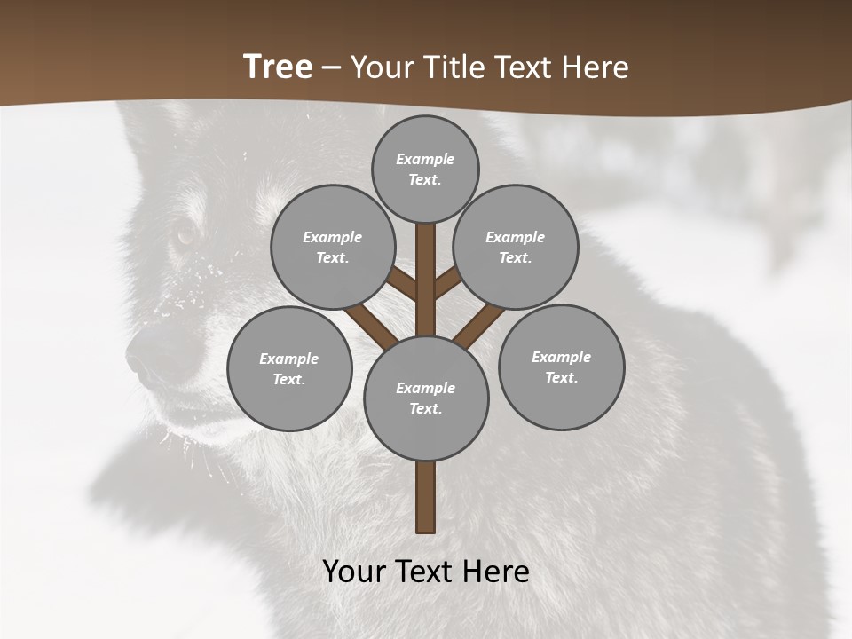 Cold Mammal Head PowerPoint Template