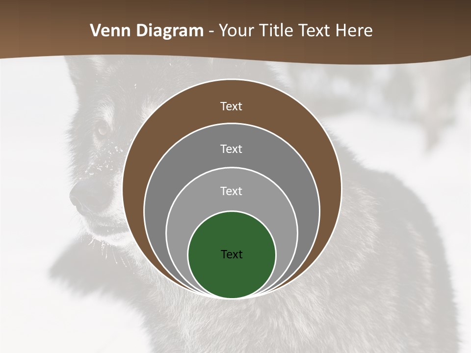 Cold Mammal Head PowerPoint Template