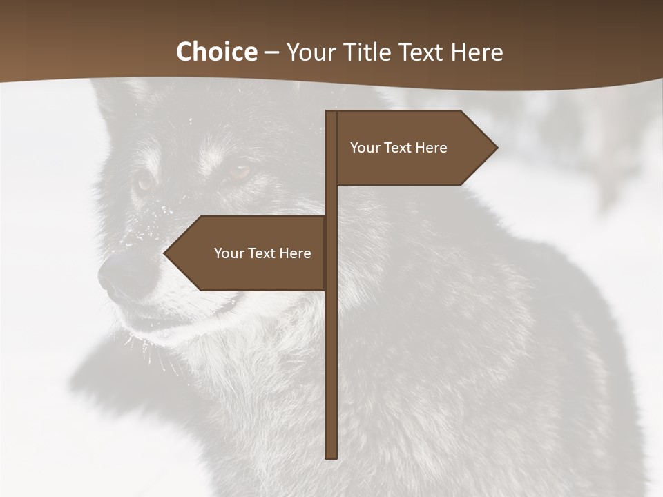 Cold Mammal Head PowerPoint Template