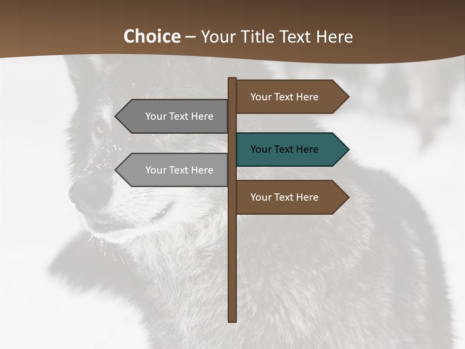 Cold Mammal Head PowerPoint Template