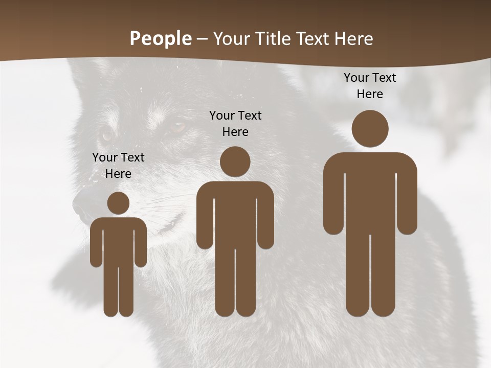 Cold Mammal Head PowerPoint Template