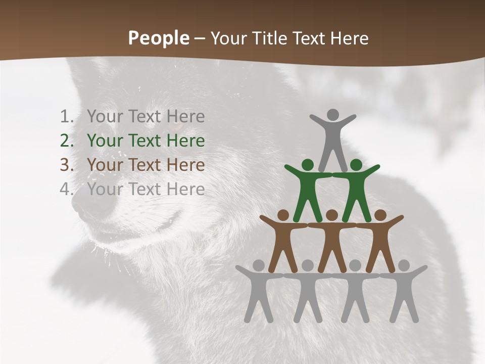 Cold Mammal Head PowerPoint Template