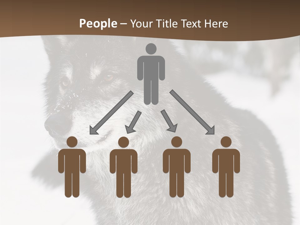 Cold Mammal Head PowerPoint Template