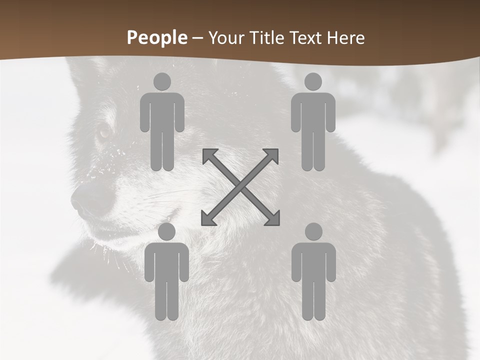 Cold Mammal Head PowerPoint Template