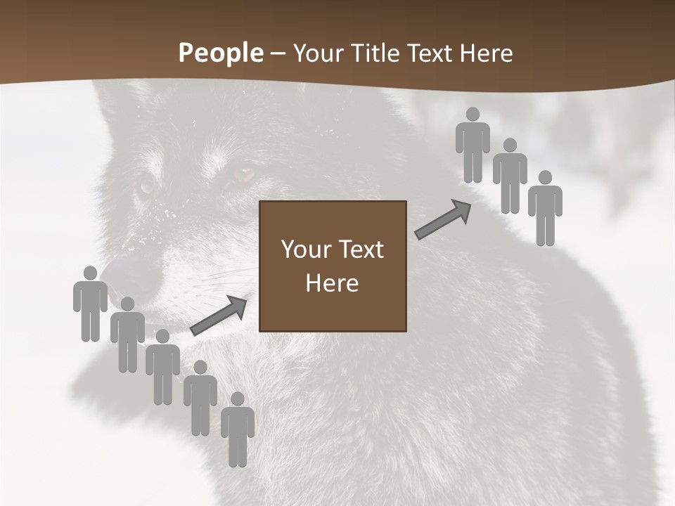 Cold Mammal Head PowerPoint Template