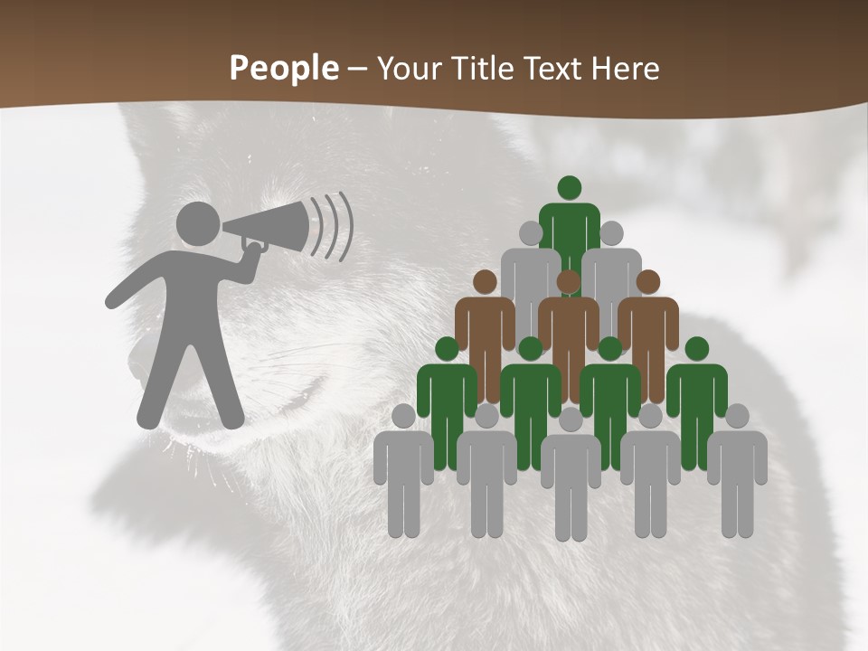 Cold Mammal Head PowerPoint Template