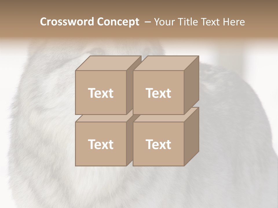 Canis Snow Wildlife PowerPoint Template