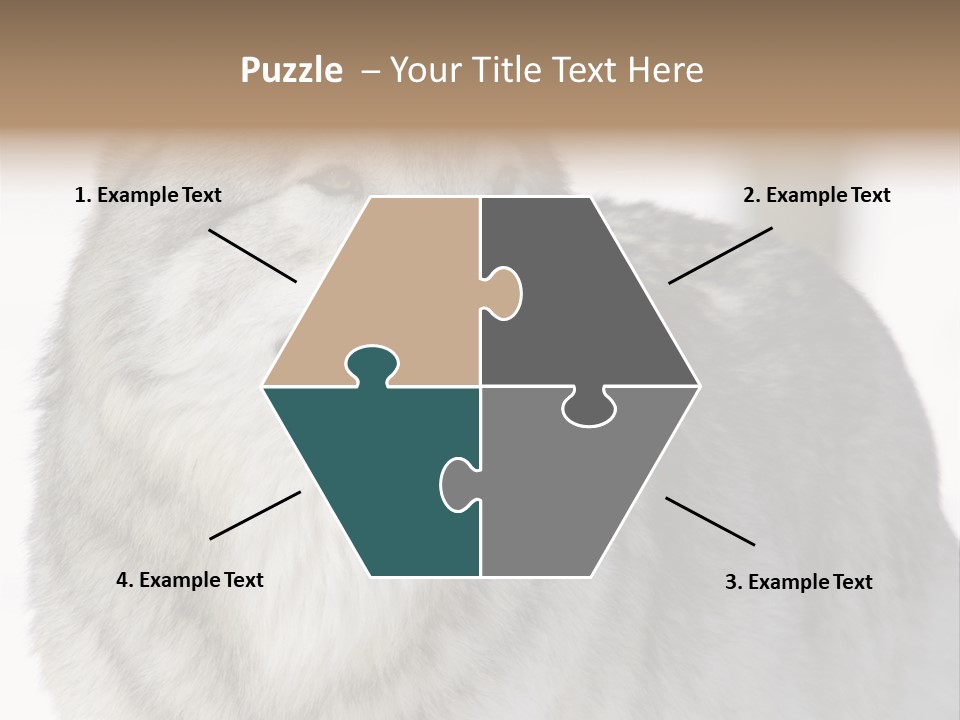 Canis Snow Wildlife PowerPoint Template