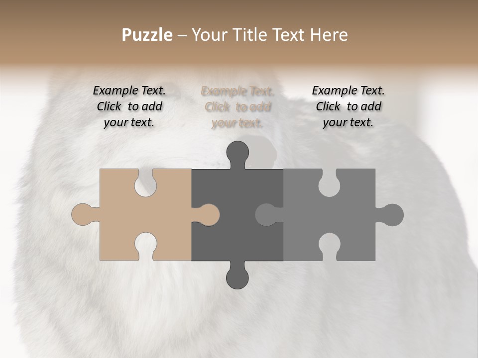 Canis Snow Wildlife PowerPoint Template