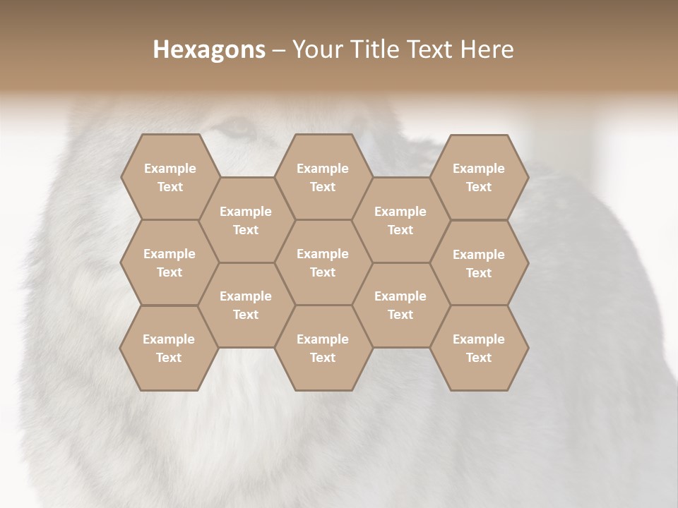 Canis Snow Wildlife PowerPoint Template