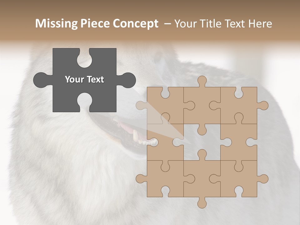 Canis Snow Wildlife PowerPoint Template