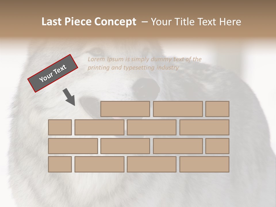 Canis Snow Wildlife PowerPoint Template