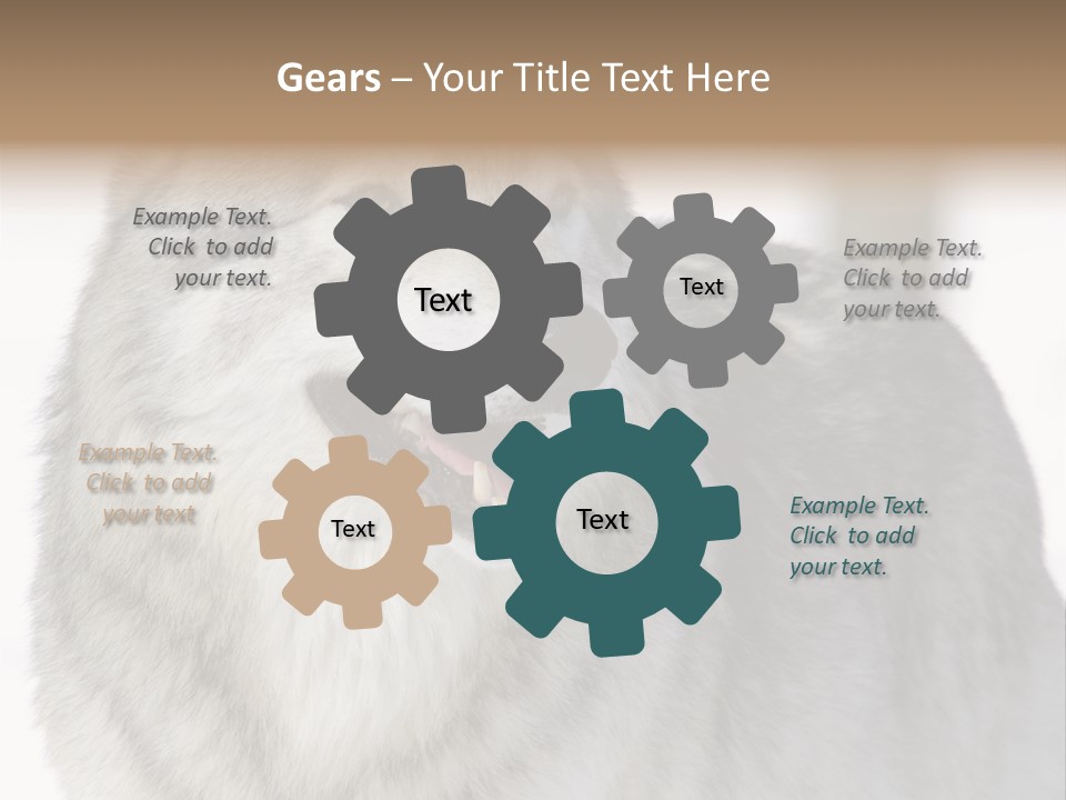 Canis Snow Wildlife PowerPoint Template