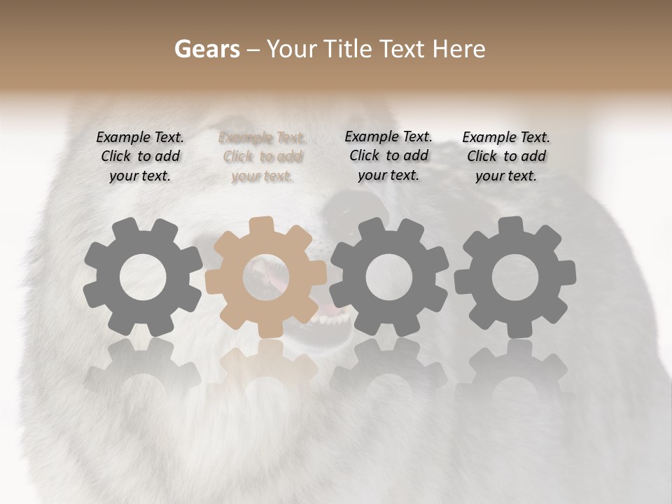 Canis Snow Wildlife PowerPoint Template
