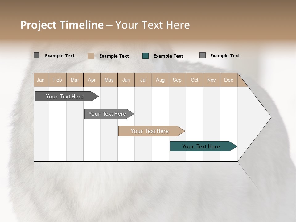 Canis Snow Wildlife PowerPoint Template