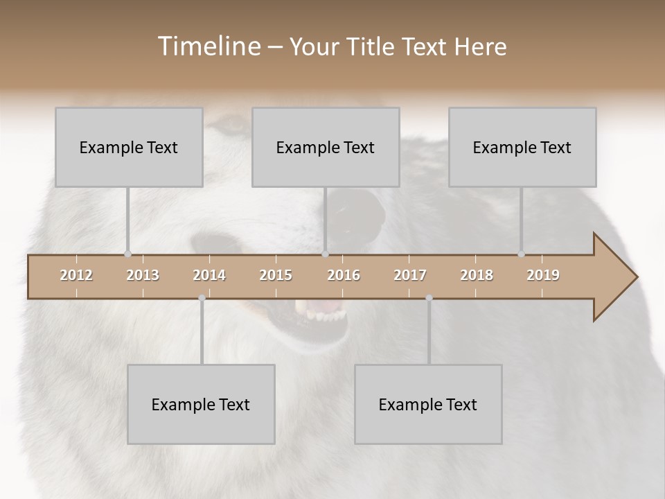 Canis Snow Wildlife PowerPoint Template