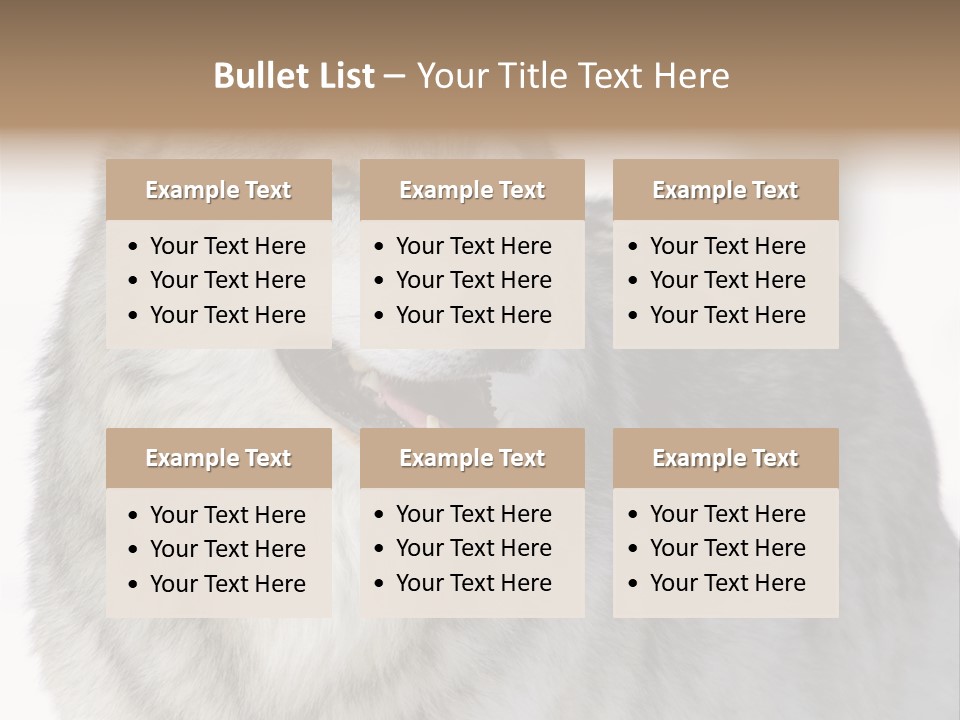 Canis Snow Wildlife PowerPoint Template