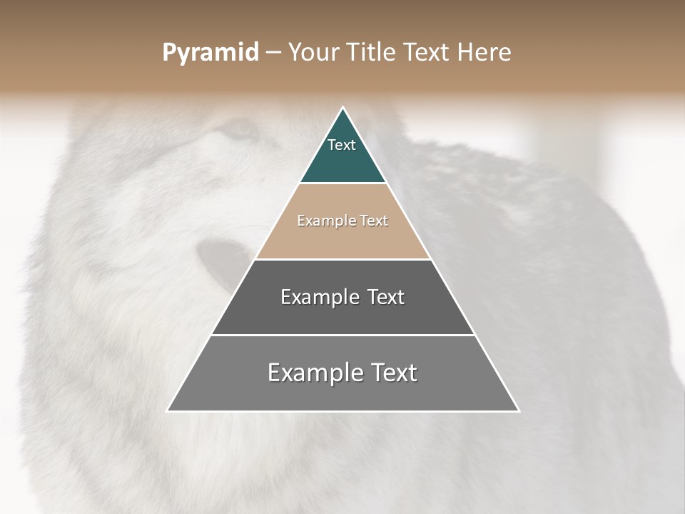 Canis Snow Wildlife PowerPoint Template