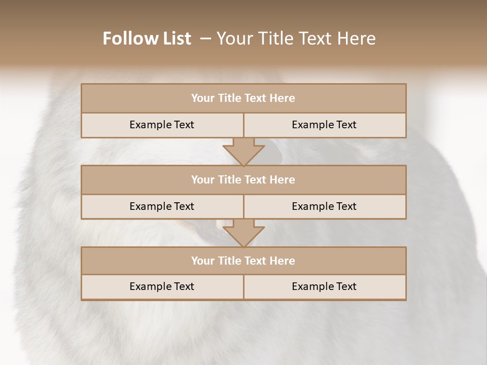 Canis Snow Wildlife PowerPoint Template