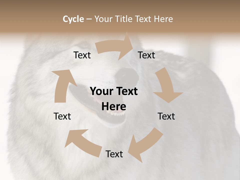 Canis Snow Wildlife PowerPoint Template