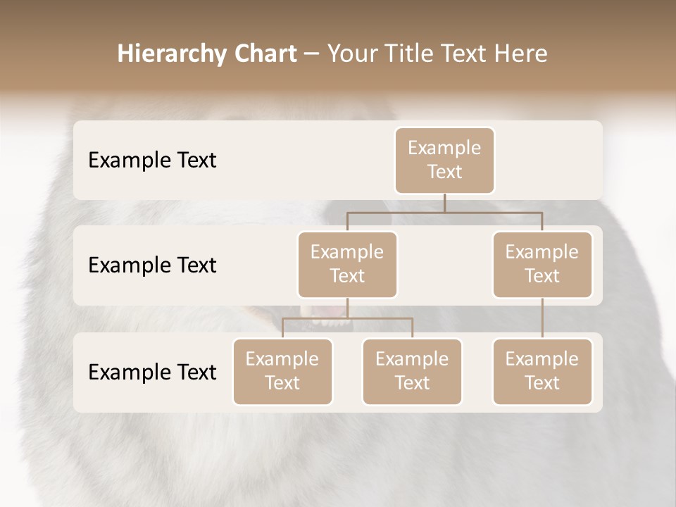 Canis Snow Wildlife PowerPoint Template