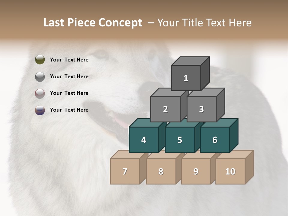 Canis Snow Wildlife PowerPoint Template