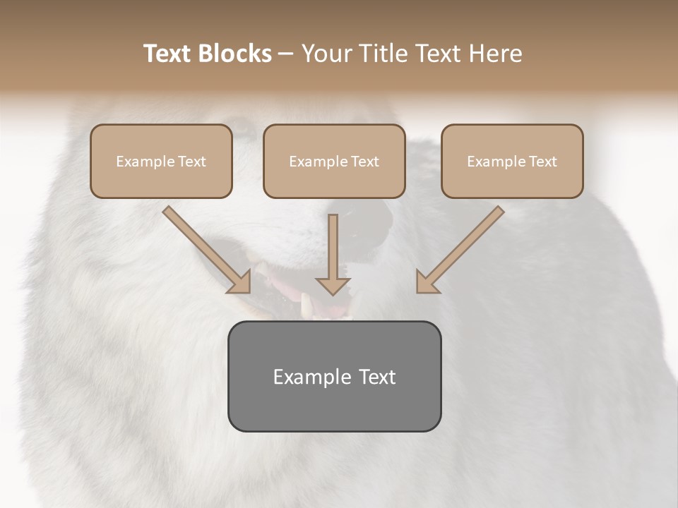 Canis Snow Wildlife PowerPoint Template