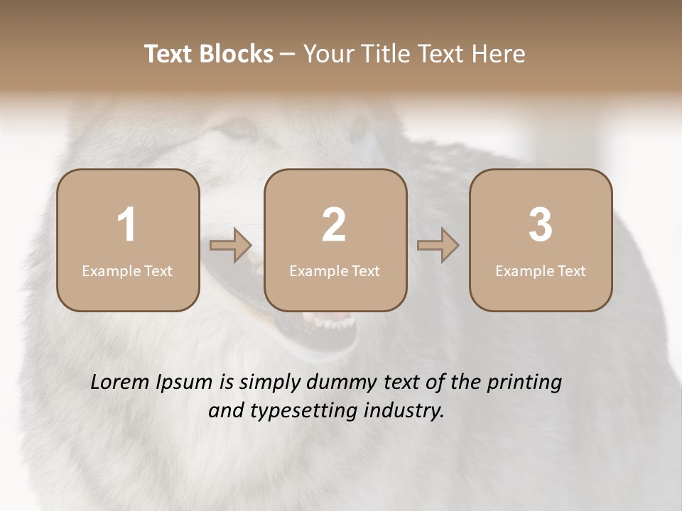 Canis Snow Wildlife PowerPoint Template