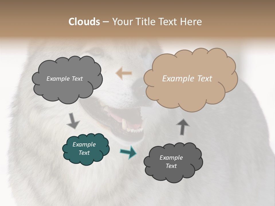 Canis Snow Wildlife PowerPoint Template