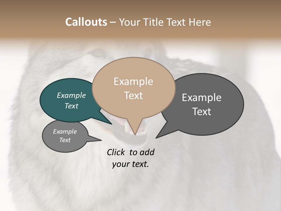 Canis Snow Wildlife PowerPoint Template