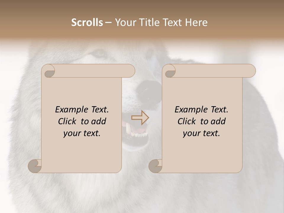 Canis Snow Wildlife PowerPoint Template