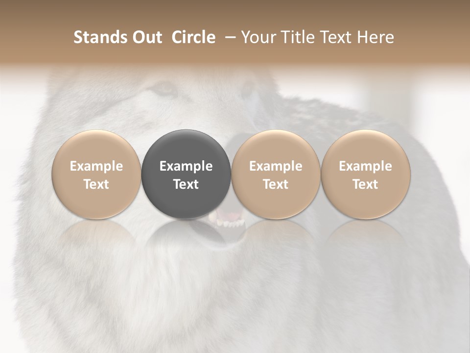 Canis Snow Wildlife PowerPoint Template