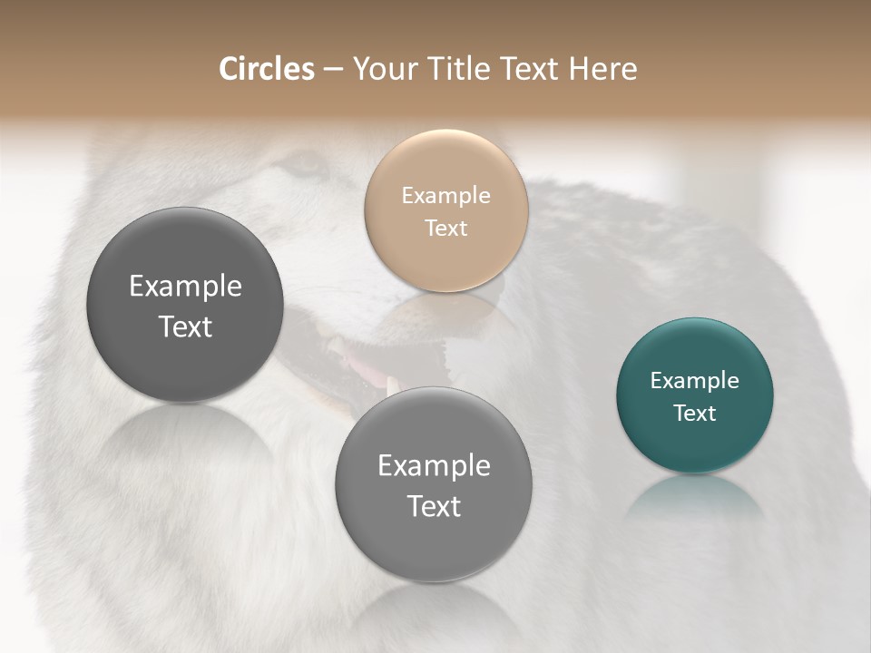 Canis Snow Wildlife PowerPoint Template