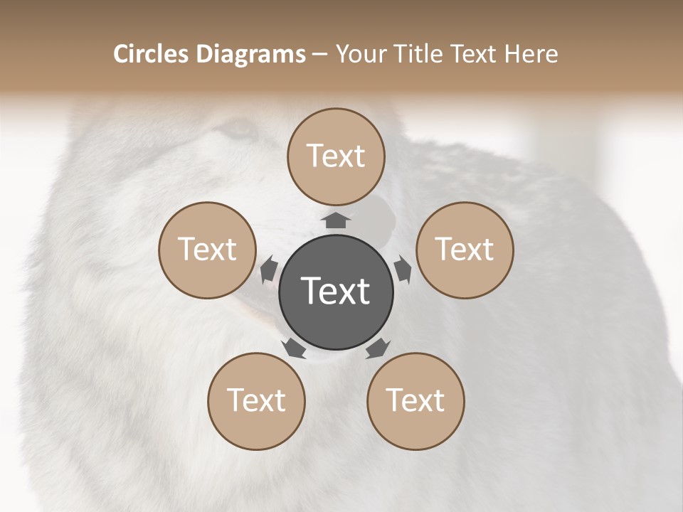 Canis Snow Wildlife PowerPoint Template