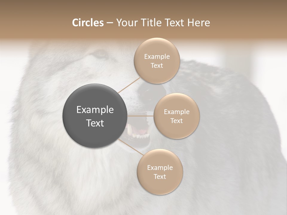 Canis Snow Wildlife PowerPoint Template