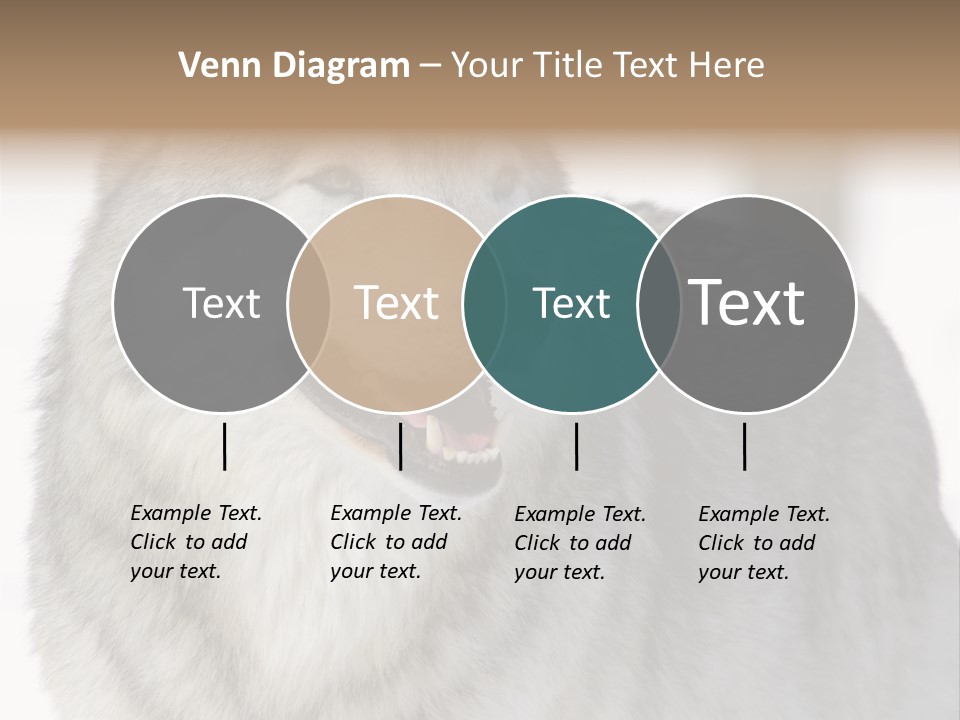 Canis Snow Wildlife PowerPoint Template