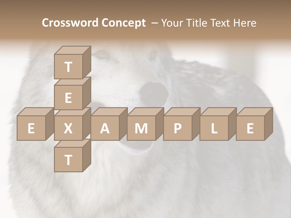 Canis Snow Wildlife PowerPoint Template