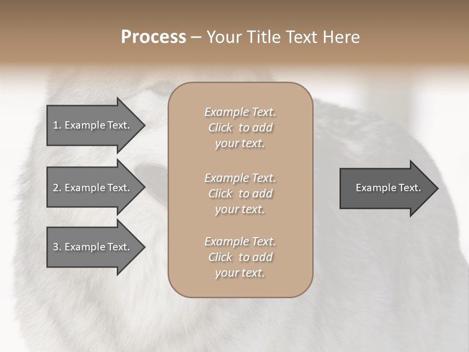 Canis Snow Wildlife PowerPoint Template