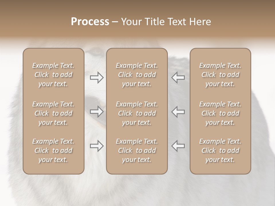 Canis Snow Wildlife PowerPoint Template