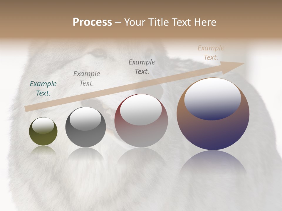 Canis Snow Wildlife PowerPoint Template