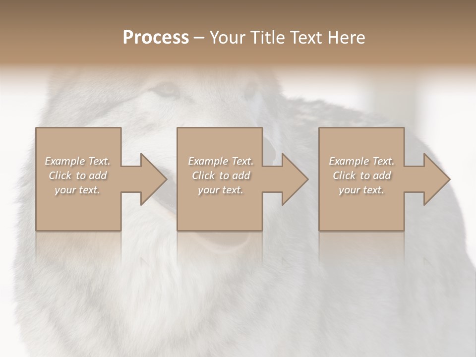 Canis Snow Wildlife PowerPoint Template