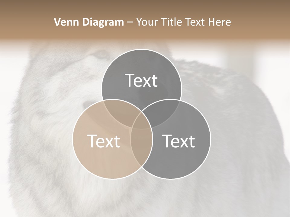 Canis Snow Wildlife PowerPoint Template