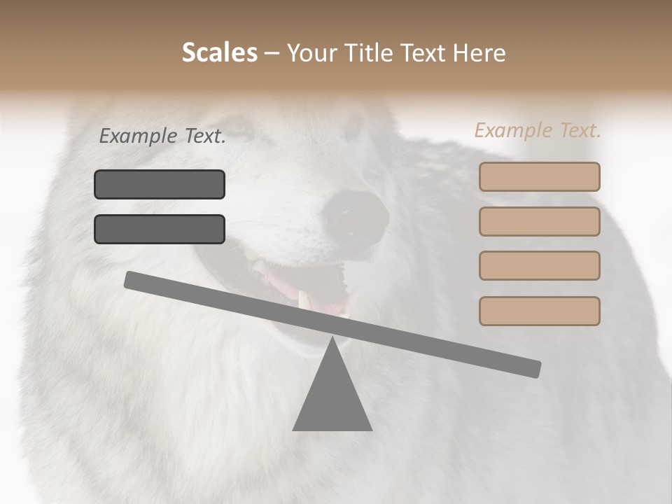 Canis Snow Wildlife PowerPoint Template