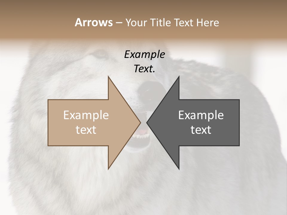 Canis Snow Wildlife PowerPoint Template