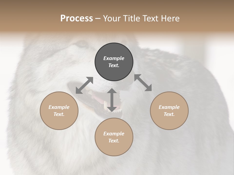 Canis Snow Wildlife PowerPoint Template