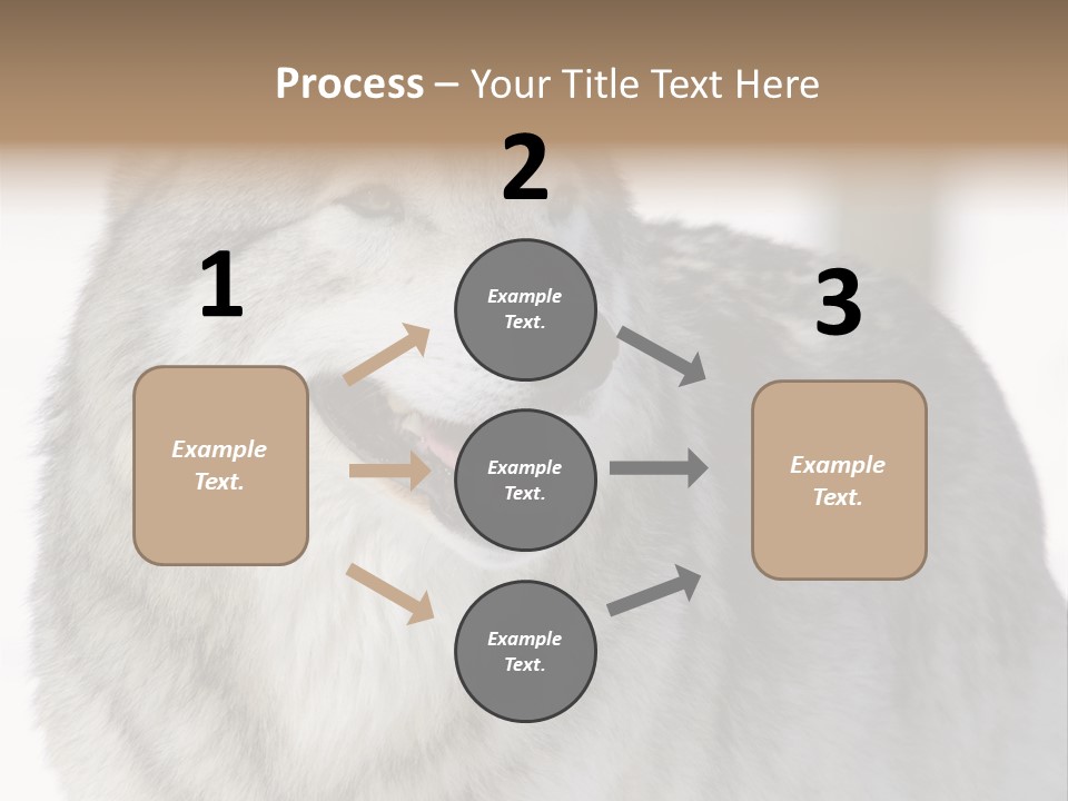 Canis Snow Wildlife PowerPoint Template