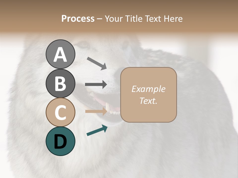 Canis Snow Wildlife PowerPoint Template