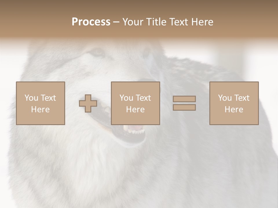Canis Snow Wildlife PowerPoint Template