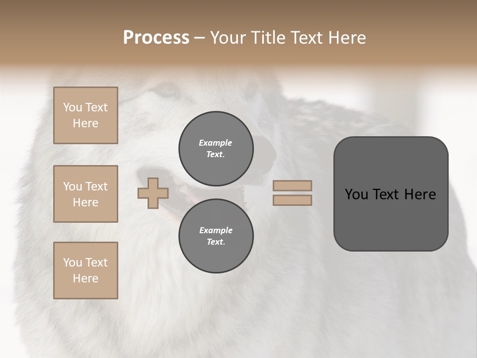 Canis Snow Wildlife PowerPoint Template